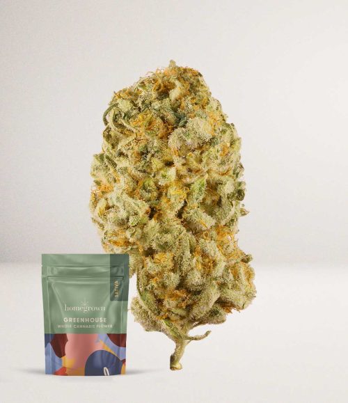 Durban Poison – A Greenhouse Sativa Homegrown Flower