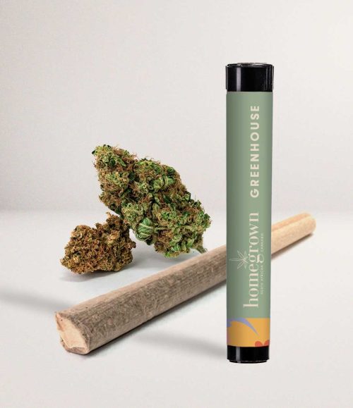 Purple Haze – A Greenhouse Sativa Homegrown Pre-Roll